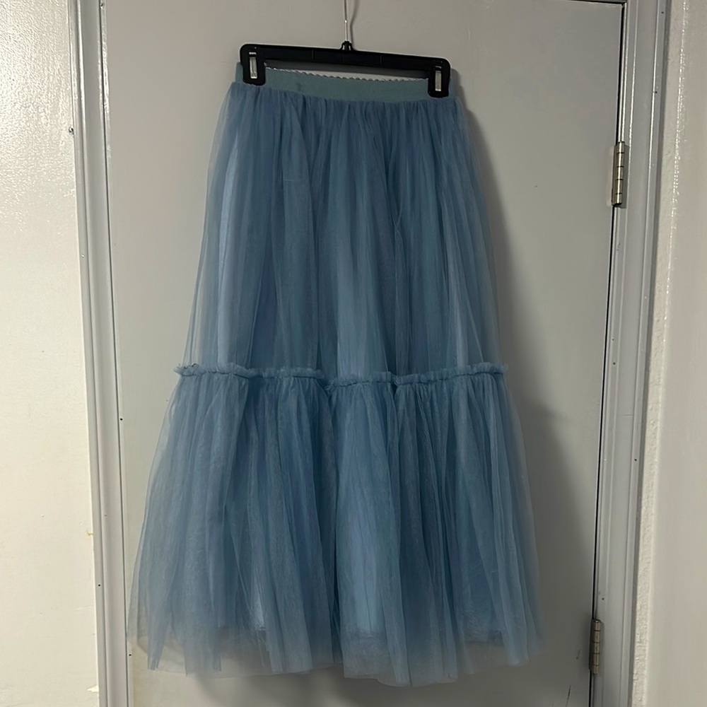 Blue Tulle Skirt
